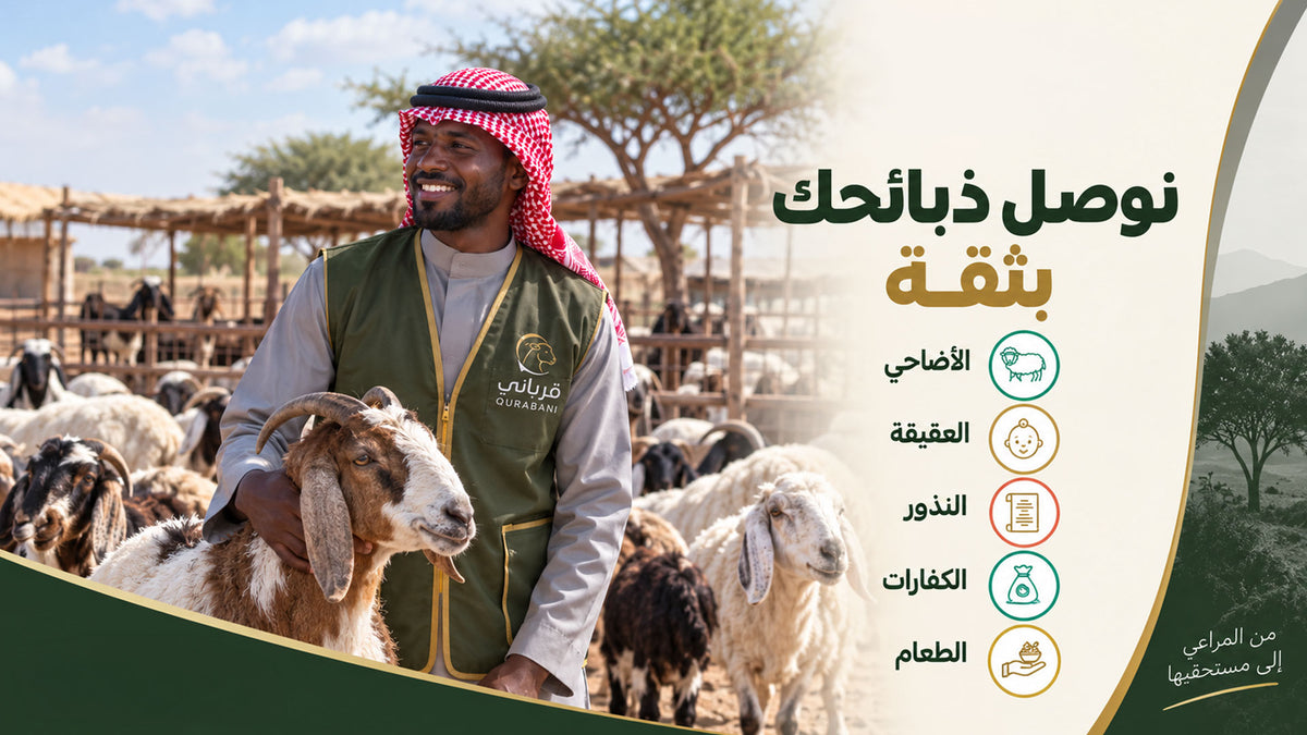 متجر قرباني